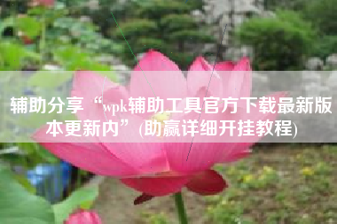 辅助分享“wpk辅助工具官方下载最新版本更新内”(助赢详细开挂教程)