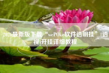 2026最新版下载“wePOke软件透明挂	”(透视)开挂详细教程