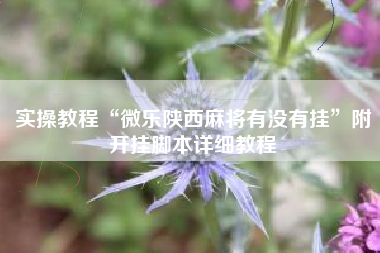 实操教程“微乐陕西麻将有没有挂”附开挂脚本详细教程