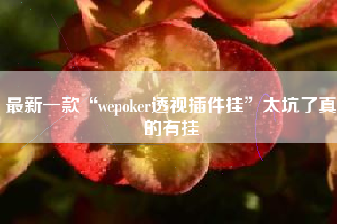 最新一款“wepoker透视插件挂	”太坑了真的有挂