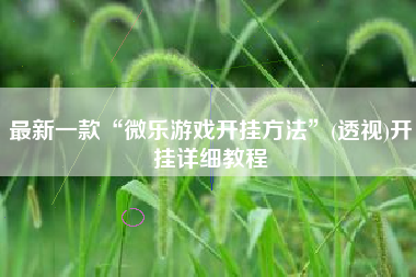 最新一款“微乐游戏开挂方法	”(透视)开挂详细教程