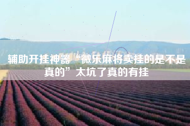 辅助开挂神器“微乐麻将卖挂的是不是真的	”太坑了真的有挂