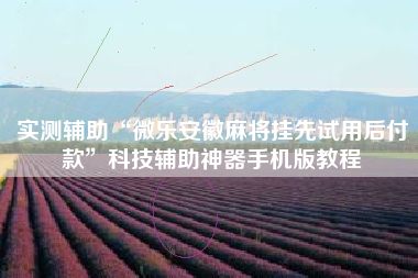 实测辅助“微乐安徽麻将挂先试用后付款”科技辅助神器手机版教程