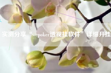 实测分享“wepoker透视挂软件”详细开挂