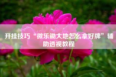 开挂技巧“微乐锄大地怎么拿好牌”辅助透视教程