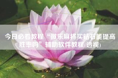 今日必看教程“微乐麻将买钻石能提高胜率吗”辅助软件教程(透视)