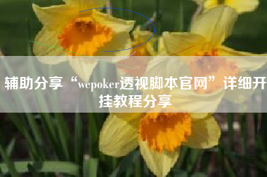 辅助分享“wepoker透视脚本官网”详细开挂教程分享