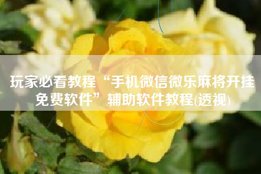 玩家必看教程“手机微信微乐麻将开挂免费软件”辅助软件教程(透视)