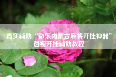 真实辅助“微乐内蒙古麻将开挂神器”透视开挂辅助教程