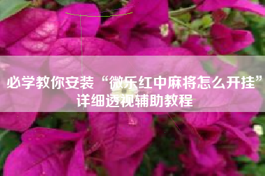 必学教你安装“微乐红中麻将怎么开挂”详细透视辅助教程