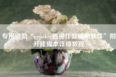 专用辅助“wepoker透视作弊辅助软件	”附开挂脚本详细教程