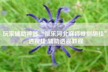 玩家辅助神器“微乐河北麻将推倒胡挂”(透视挂)辅助透视教程