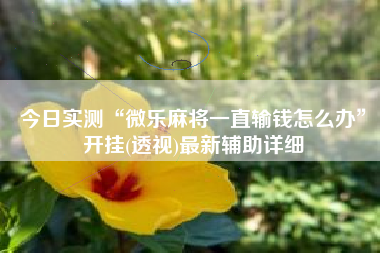 今日实测“微乐麻将一直输钱怎么办	”开挂(透视)最新辅助详细