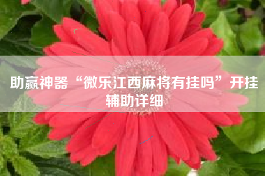 助赢神器“微乐江西麻将有挂吗”开挂辅助详细