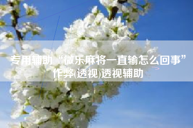 专用辅助“微乐麻将一直输怎么回事”作弊(透视)透视辅助