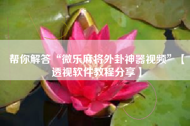 帮你解答“微乐麻将外卦神器视频”【透视软件教程分享】