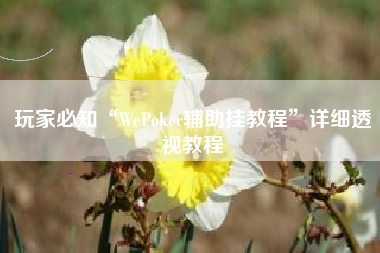 玩家必知“WePoker辅助挂教程”详细透视教程
