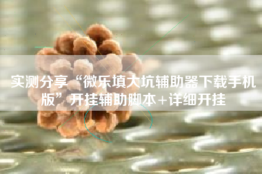 实测分享“微乐填大坑辅助器下载手机版”开挂辅助脚本+详细开挂