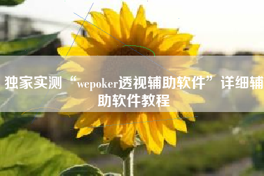 独家实测“wepoker透视辅助软件”详细辅助软件教程