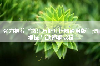 强力推荐“微乐万能开挂器通用版	”(透视挂)辅助透视教程