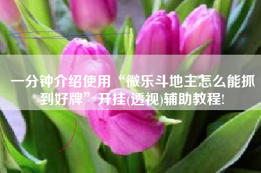 一分钟介绍使用“微乐斗地主怎么能抓到好牌	”开挂(透视)辅助教程!