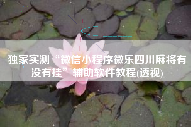 独家实测“微信小程序微乐四川麻将有没有挂”辅助软件教程(透视)