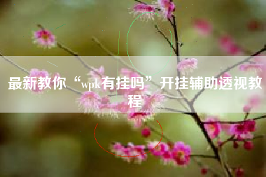 最新教你“wpk有挂吗”开挂辅助透视教程