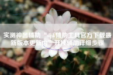 实测神器辅助“wpk辅助工具官方下载最新版本更新内	”开挂辅助详细步骤