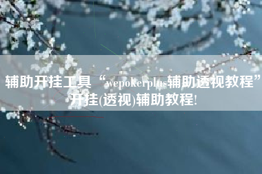 辅助开挂工具“wepokerplus辅助透视教程”开挂(透视)辅助教程!