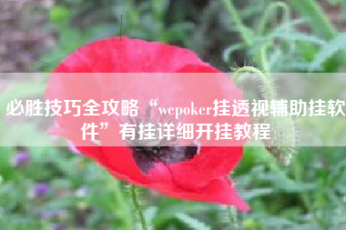 必胜技巧全攻略“wepoker挂透视辅助挂软件	”有挂详细开挂教程