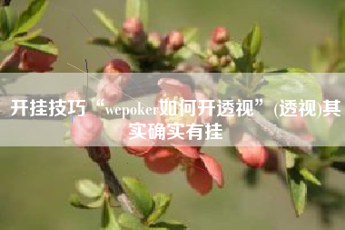 开挂技巧“wepoker如何开透视	”(透视)其实确实有挂