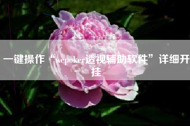 一键操作“wepoker透视辅助软件”详细开挂