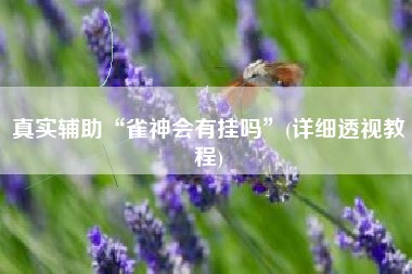 真实辅助“雀神会有挂吗”(详细透视教程)