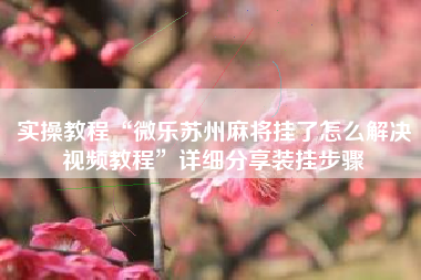 实操教程“微乐苏州麻将挂了怎么解决视频教程”详细分享装挂步骤