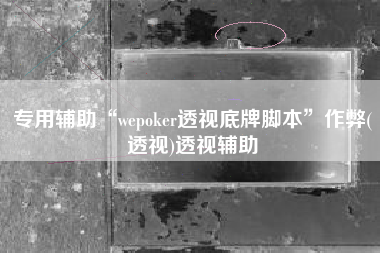 专用辅助“wepoker透视底牌脚本”作弊(透视)透视辅助
