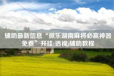 辅助最新信息“微乐湖南麻将必赢神器免费”开挂(透视)辅助教程