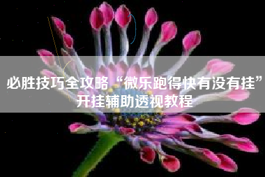 必胜技巧全攻略“微乐跑得快有没有挂	”开挂辅助透视教程