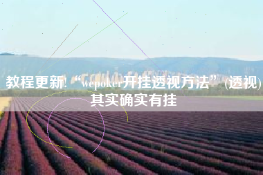 教程更新!“wepoker开挂透视方法	”(透视)其实确实有挂