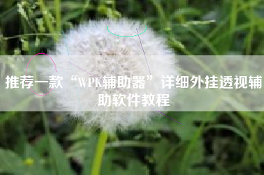 推荐一款“WPK辅助器”详细外挂透视辅助软件教程