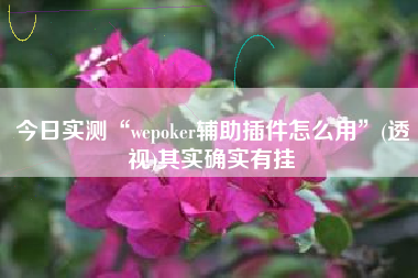 今日实测“wepoker辅助插件怎么用	”(透视)其实确实有挂
