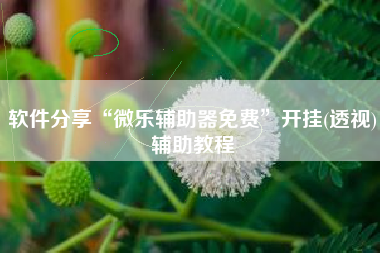 软件分享“微乐辅助器免费	”开挂(透视)辅助教程