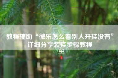 教程辅助“微乐怎么看别人开挂没有	”详细分享装挂步骤教程