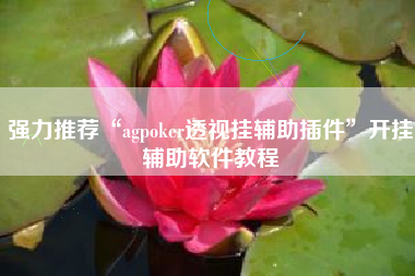 强力推荐“agpoker透视挂辅助插件”开挂辅助软件教程