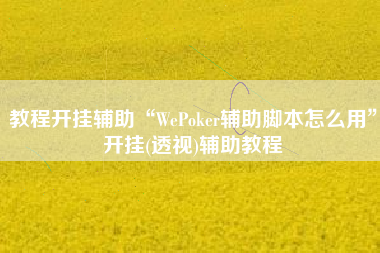 教程开挂辅助“WePoker辅助脚本怎么用	”开挂(透视)辅助教程