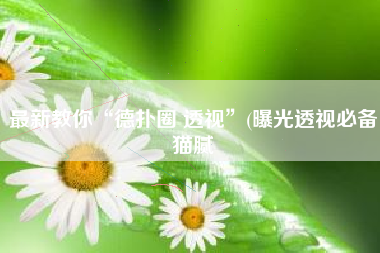最新教你“德扑圈 透视	”(曝光透视必备猫腻