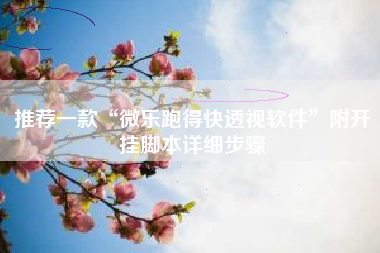 推荐一款“微乐跑得快透视软件”附开挂脚本详细步骤