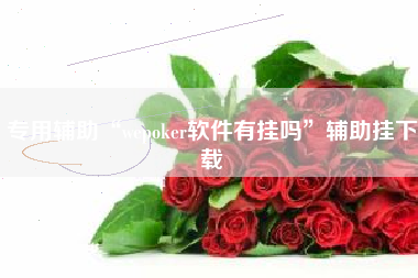 专用辅助“wepoker软件有挂吗”辅助挂下载