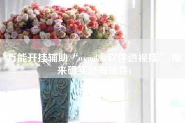 万能开挂辅助“wepoker软件透视挂”(原来确实是有插件)