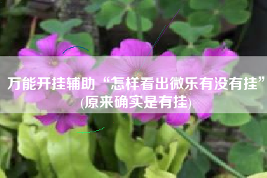 万能开挂辅助“怎样看出微乐有没有挂	”(原来确实是有挂)