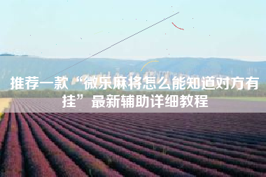 推荐一款“微乐麻将怎么能知道对方有挂”最新辅助详细教程